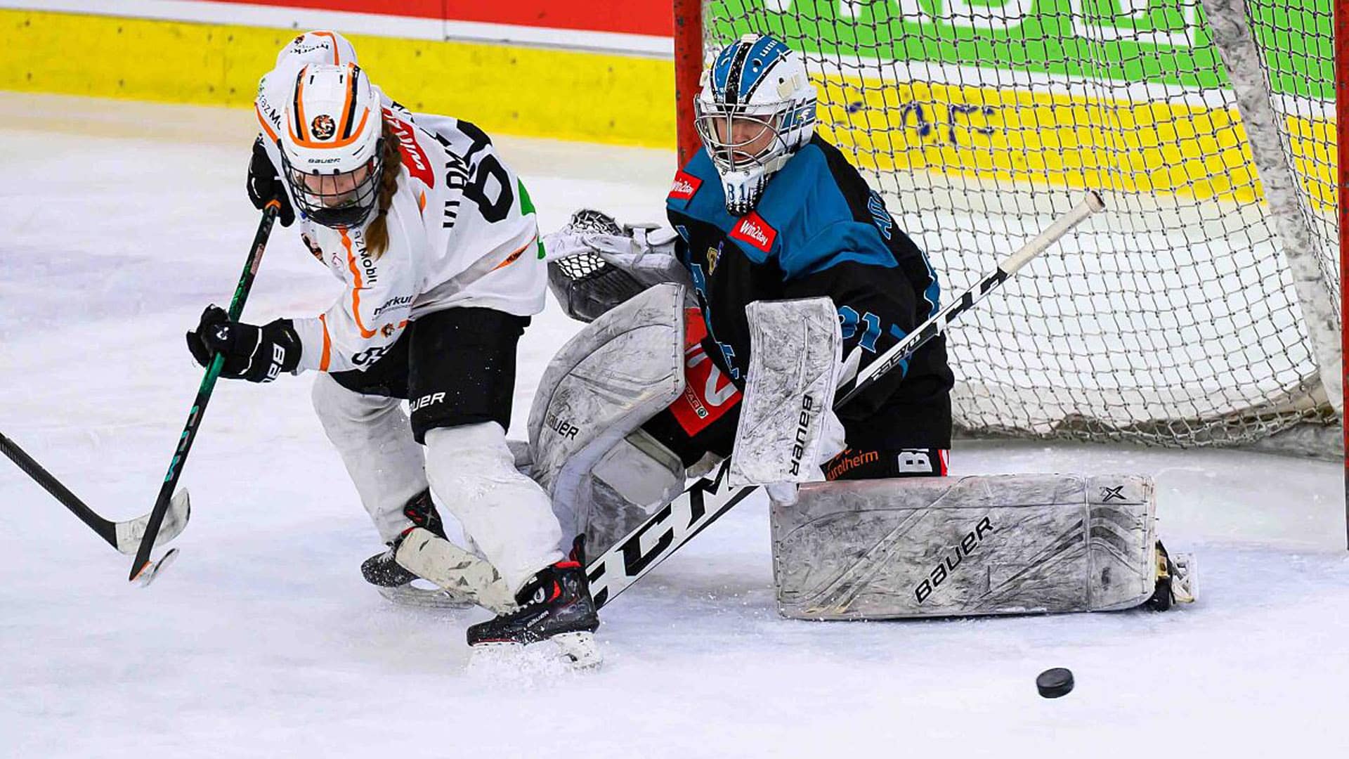 ICE HOCKEY – AWHL, Final Four