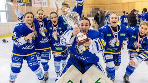 Villach Lady Hawks holen sich DEBL-Titel