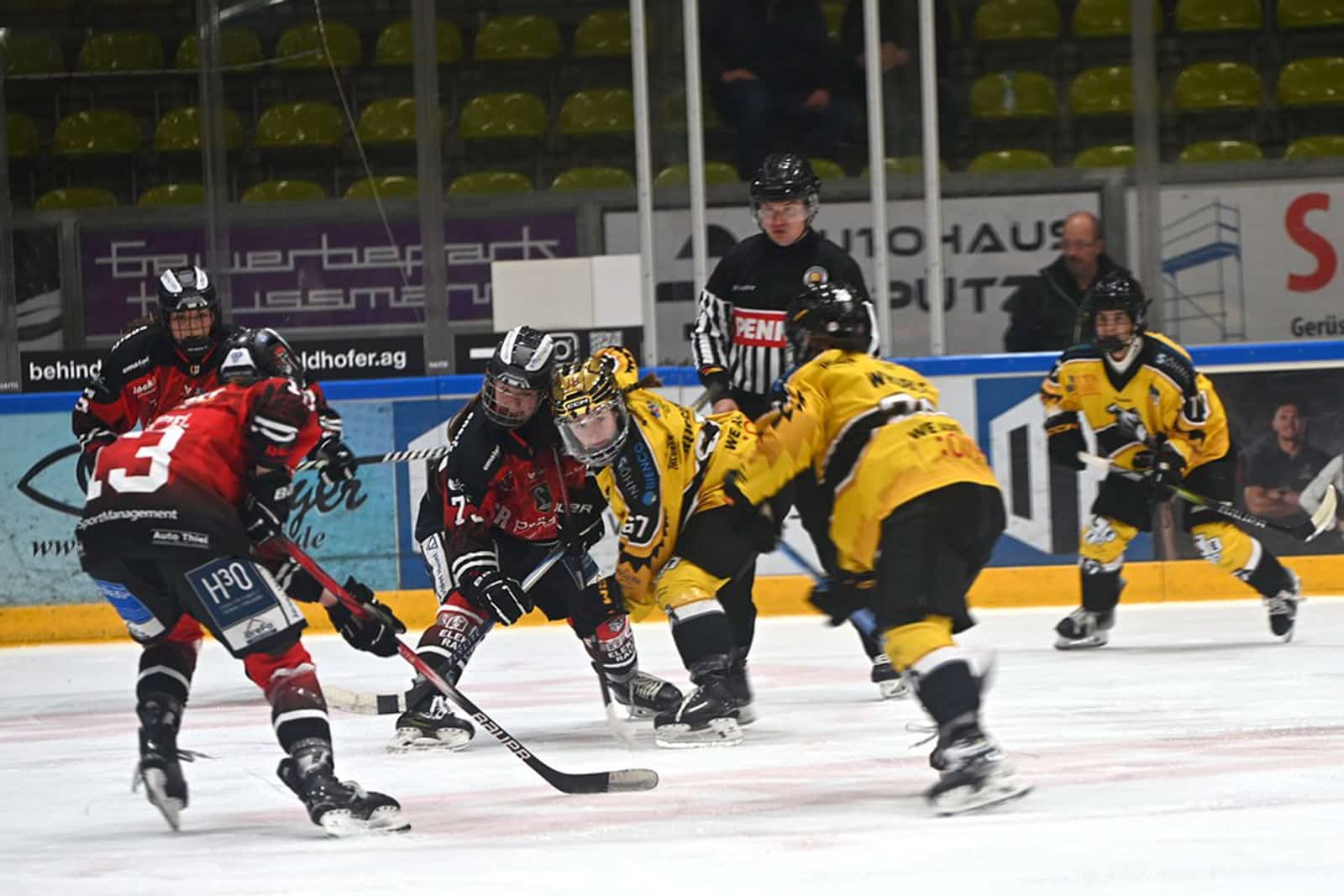 Fraueneishockey DFEL ECDC Memmingen Indians Frauen (c) CHarlie Perzl_20251116