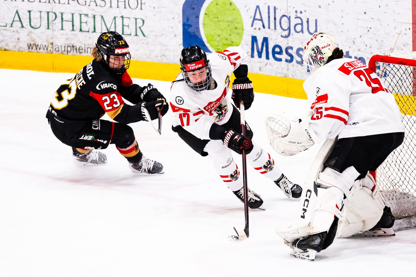 Deutschland gegen Österreich – Vorbereitung Spiel
