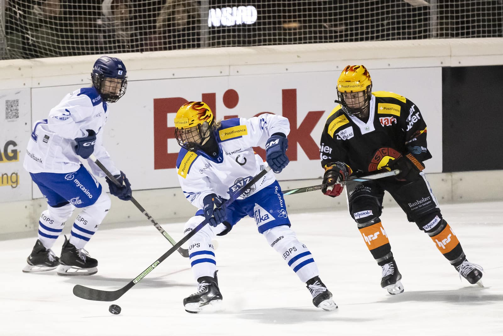 EISHOCKEY, POSTFINANCE WOMENS LEAGUE, MEISTERSCHAFT, QUALIFIKATION, SAISON 2025/26, HOCKEY SUR GLACE, EV ZUG, EVZ, SC BERN, SCB,