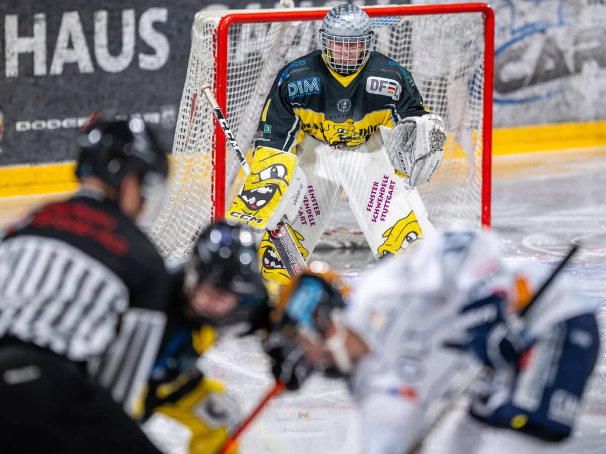 Fraueneishockey Mad Dogs Mannheim DSC5300_20231027